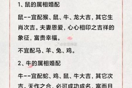 十二肖和十二生肖配对,十二生肖最佳婚配表是怎样的？