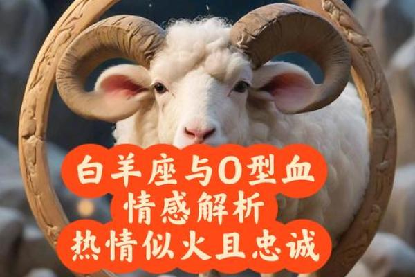 白羊座哪个血型最聪明