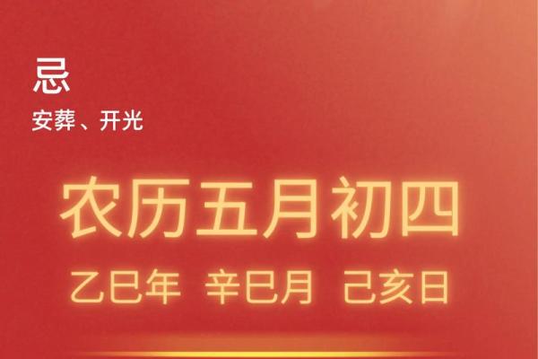 弗里斯兰马的寿命,今日黄历买车吉日