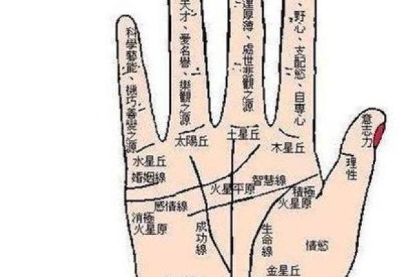 怎么看手相算命，怎么看手相算命图解