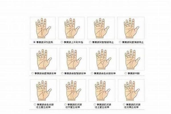 怎么看手相算命，怎么看手相算命图解
