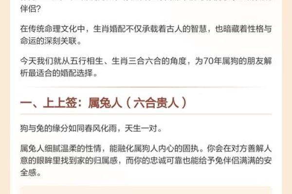 狗的属相配对婚配表
