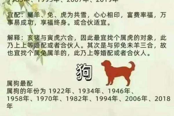 生肖配对真迹：十二生肖最佳配对大揭秘！