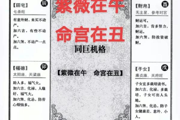 紫薇星入命宫平