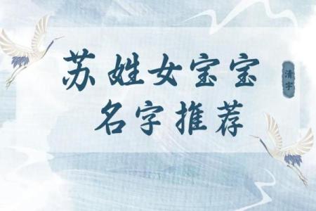 姓苏的名人-名人大全-姓名学-华易算命网姓名