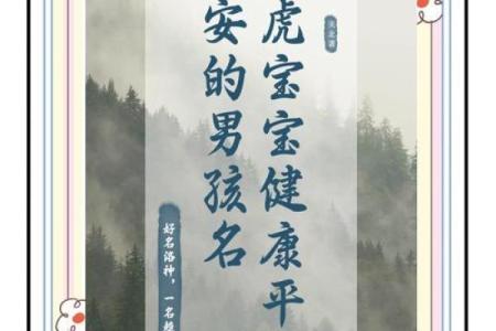 晚上1点出生的属虎男孩如何起名，用什么字姓名