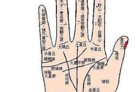 怎么看手相算命，怎么看手相算命图解