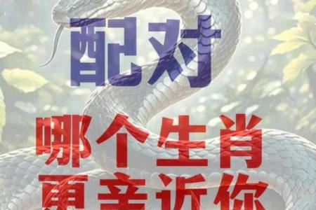 属鼠人招姻缘 属鼠姻缘在哪个方位？
