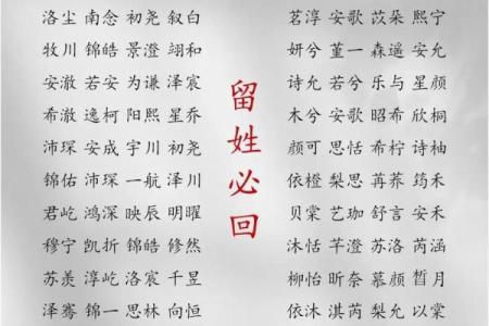 2019年4月15号子时出生的男孩如何起名姓名
