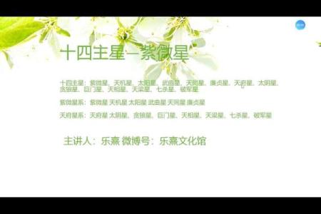 紫薇斗数星星含义