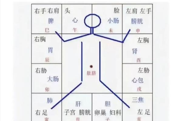紫薇斗数如何排宫