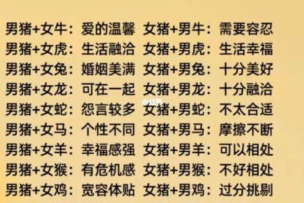 95男猪96女鼠相配吗 95年出生的男性和96年出生的女性是否适合成为配对