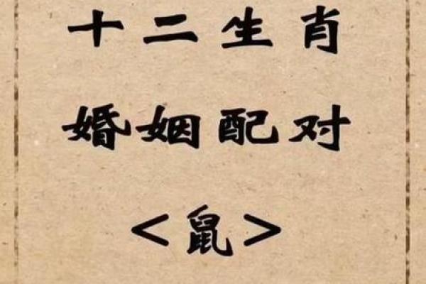 鼠跟什么生肖配对最好 生肖鼠最佳配对