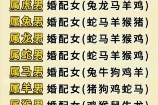 鼠跟什么生肖配对最好 生肖鼠最佳配对