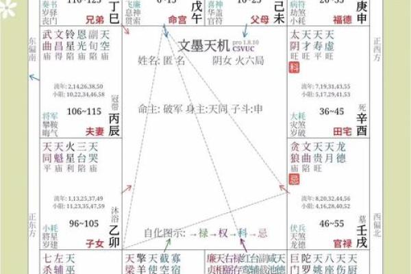 紫薇斗数父母职业