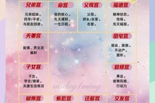 紫薇斗数旬空夫妻宫