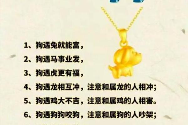 属狗申时出生的男孩如何起名，宜用什么字姓名