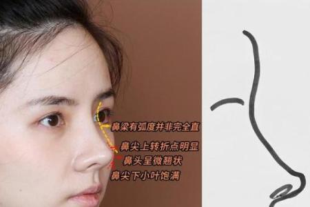 整容的八字