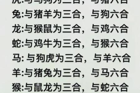有助男人事业运的生肖配对