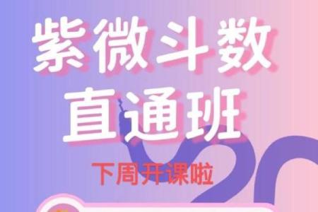 紫色紫微斗数 紫微斗数紫色是什么意思？