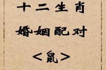 鼠跟什么生肖配对最好 生肖鼠最佳配对