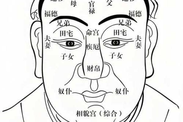 眼相算命图解大全
