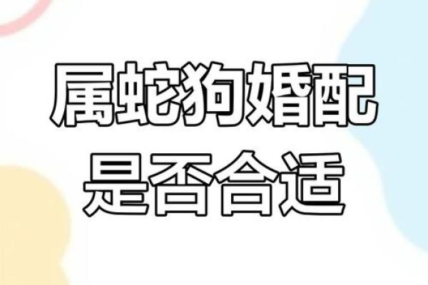 属狗正缘出现在哪年 属狗人婚姻配对表