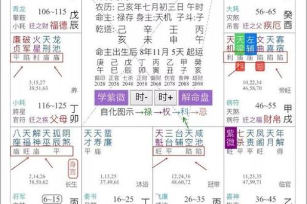 紫微斗数术语解释之：吉星
