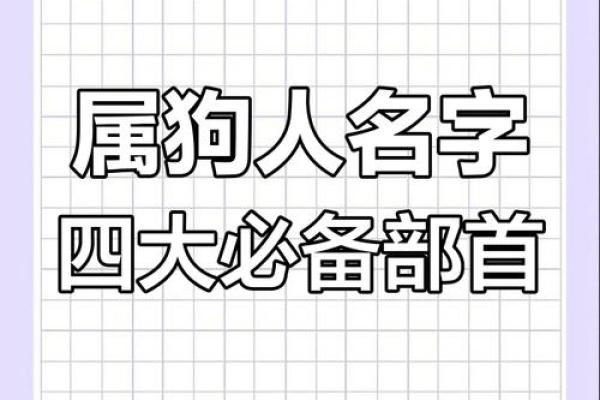 下午三点出生的属狗男孩如何取名，宜用什么字姓名