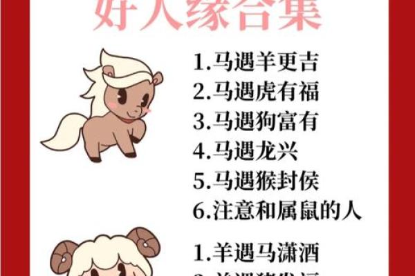 属猪和属鼠的八字合吗