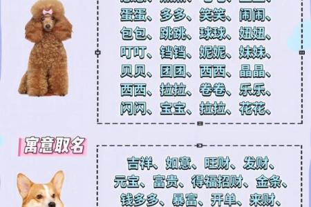 下午三点出生的属狗男孩如何取名，宜用什么字姓名