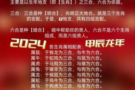属猪和属鼠的八字合吗