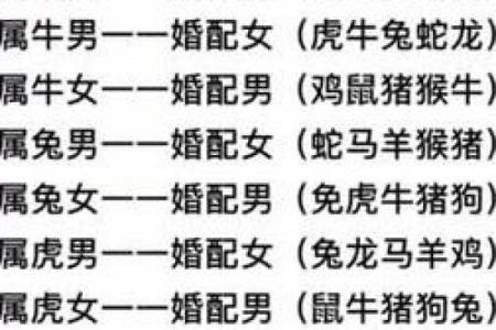 十二生肖顺序配对