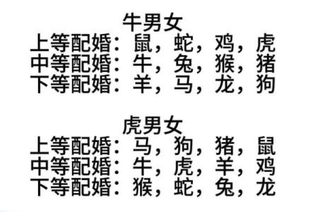 姓名配对属相查询网 姓名配对大全？