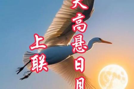日月在八字