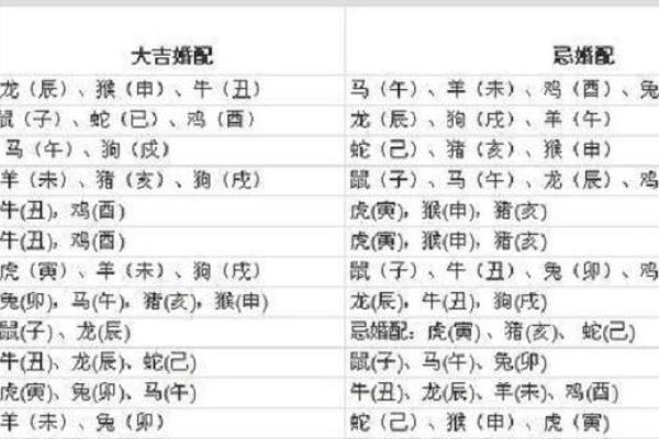龙生肖配对大揭秘，十二生肖知识详解