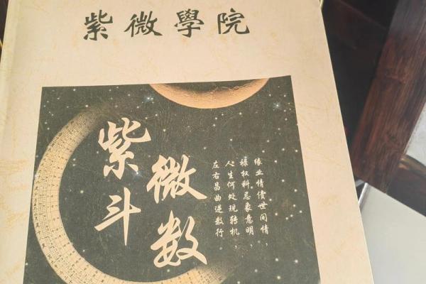 紫薇斗数吧美女