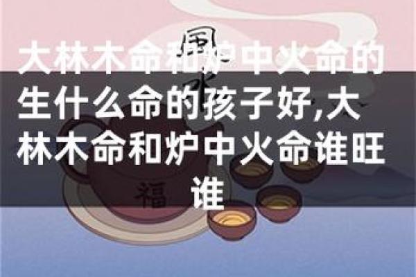 火命八字缺火