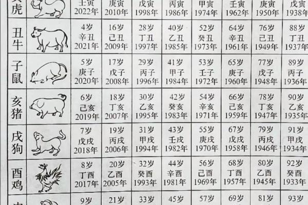 91年属什么生肖多大 婚配表 配对 什么命