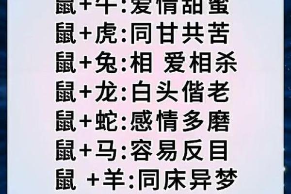 95男猪96女鼠相配吗 配对指数有多高