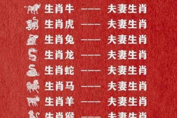 1975年属什么生肖，最佳配对属相是什么