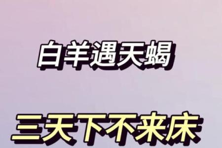 白羊女最吸引的星座男 让白羊女幸福的星座男