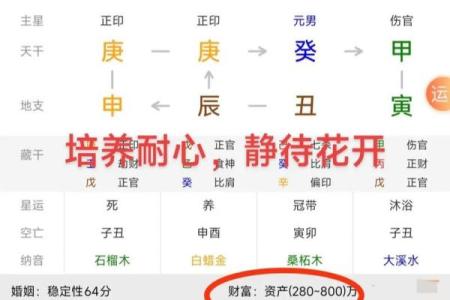 八字排盘APP下载