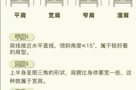 肩膀算命大全