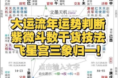 紫薇斗数中流年忌