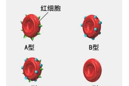 血型隐藏的病态绝症