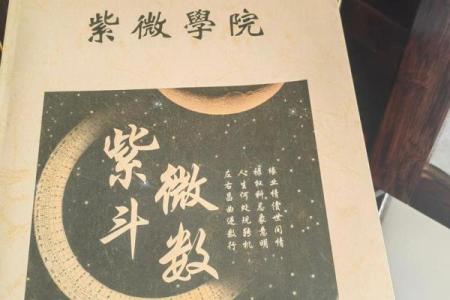 紫薇斗数吧美女