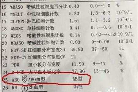网上如何查自己的血型