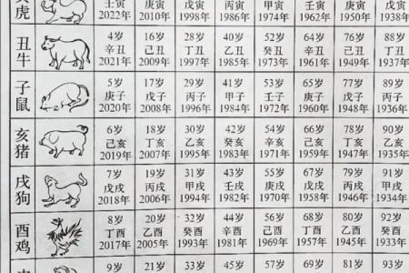 91年属什么生肖多大 婚配表 配对 什么命