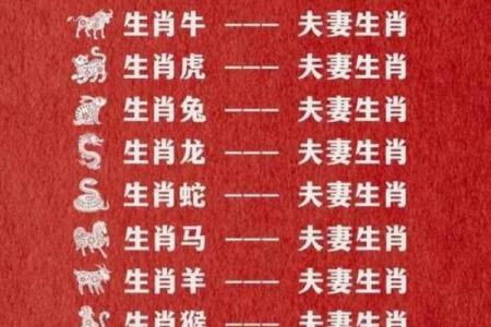 1975年属什么生肖，最佳配对属相是什么
